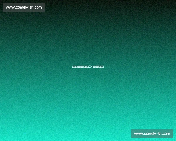 中国车手叶一飞首夺勒芒 24 小时耐力赛冠军