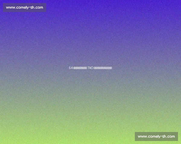 54 秒闪电终结！里纳特 TKO 传奇古斯塔夫森震撼八角笼